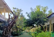 Profil dan Kondisi Madrasah